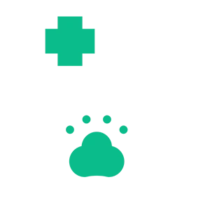 Adult pet exam icon