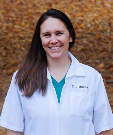 Dr Halsey